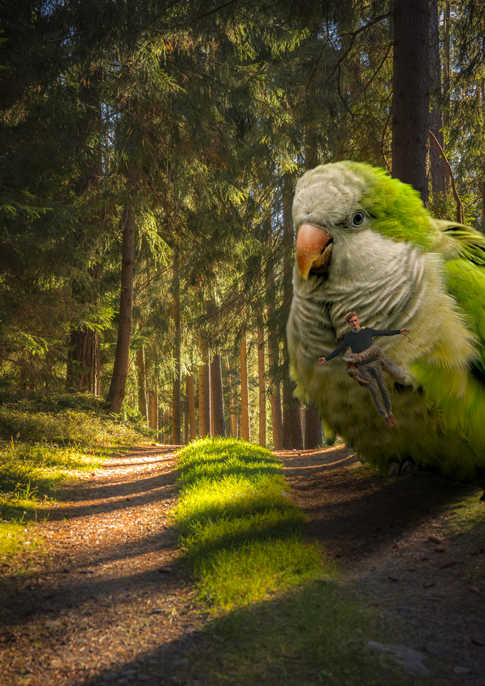 webopt-riesenvogel-linbro